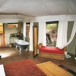 Zambia Wildlife Walking Safaris & Bush Camps