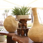 Abu Dhabi – Sir Bani Yas Island Wildlife Abu Dhabi – Sir Bani Yas Island Wildlife