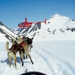 Alaska Dog Sledding Alaska Dog Sledding