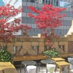 Library Hotel, NYC – Check It Out Library Hotel, NYC – Check It Out