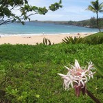 Name This Beach, Win a Prize Name This Beach, Win a Prize