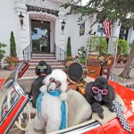 Carmel California Trip Report Carmel California Trip Report