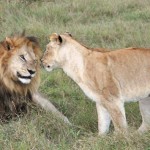 Botswana – Perfect Ending to Fab Africa Trip Botswana – Perfect Ending to Fab Africa Trip