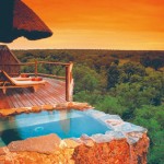 Treehouse Hotels of the World Treehouse Hotels of the World
