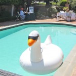 Garden Tours – Meet Locals in San Diego, Seattle++ Garden Tours – Meet Locals in San Diego, Seattle++