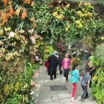 New York Botanical Garden New York Botanical Garden