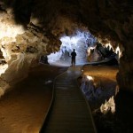 Non-touristy Glow Worm Caves – New Zealand Non-touristy Glow Worm Caves – New Zealand