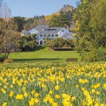 Most Romantic Christchurch Accommodation Most Romantic Christchurch Accommodation