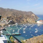 Catalina Island – An Insider’s Guide Catalina Island – An Insider’s Guide