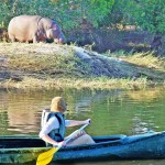 Solo Travel Made Easy and Authentic Solo Travel Made Easy and Authentic