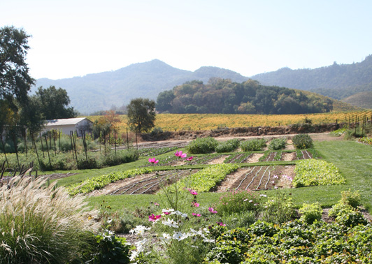 napa_075_French_Laundry_garden_cropped_for_ALT