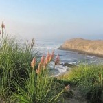 Best Places to Walk in Northern California