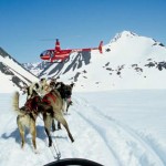 Alaska Dog Sledding