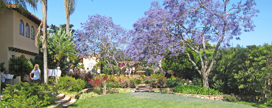 Secret Garden Tour: walk through the gates that surround our community’s most beautiful private gardens.