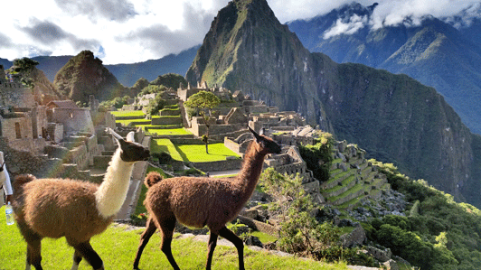 Even though I've seen numerous photos of Machu Picchu, the serenity of the site took me by surprise.