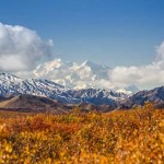 Denali National Park – Musings on the “Great One”