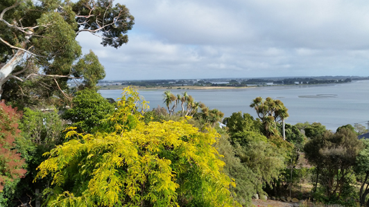 Art House in Mt. Pleasant, a suburb of Christchurch NZ, comes with a gorgeous view of native bush, the estuary, and the ocean.