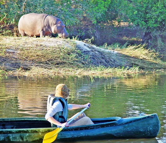 Paddling solo down the Zambezi River is probably not a good idea.