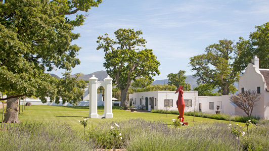 Edwardo Villa sculptures, placed around the grounds of the Steenberg Estate, add the beauty of the location.