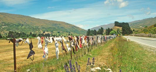 12a-7-A-knicker-fence-near-Wanaka-edited-for-ALT