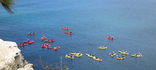 Will you kayak at The Cove while you're in La Jolla?