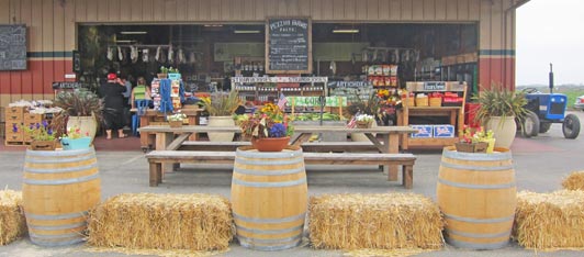 At Pezzini Farms, visitors can buy fresh produce and gourmet food items or dine at the food truck parked nearby.