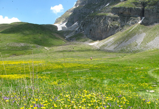 Springtime - when meadows like this are carpeted in wildflowers - is the perfect time for walking Vikos Gorge.